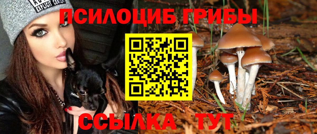 Галлюциногенные грибы прущие грибы  Вход с VPN  Саранск 
