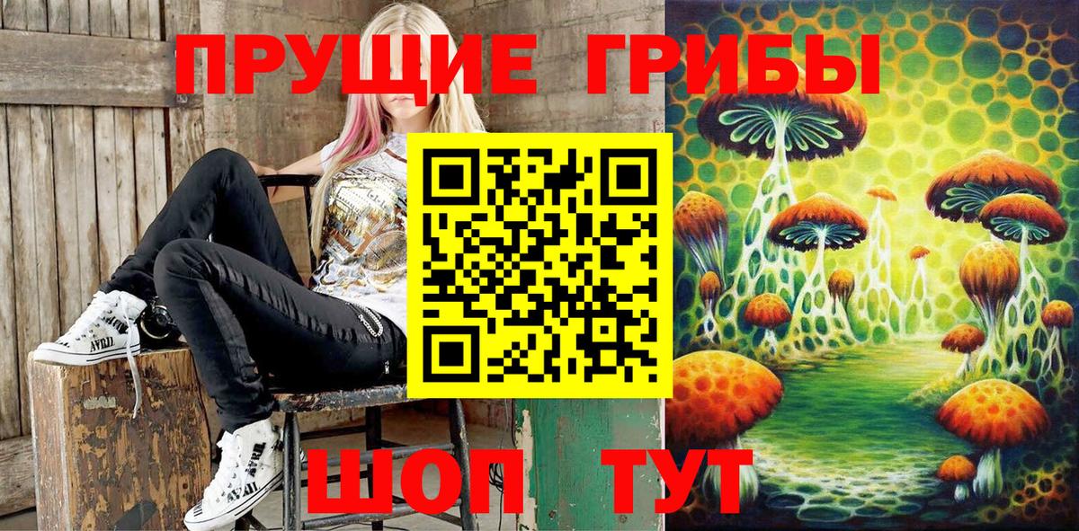 Галлюциногенные грибы Psilocybine cubensis Саранск
